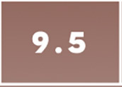 9.5