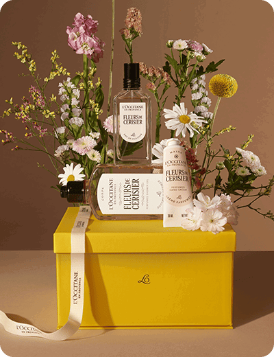 Coffret Visage Immortelle Précieuse