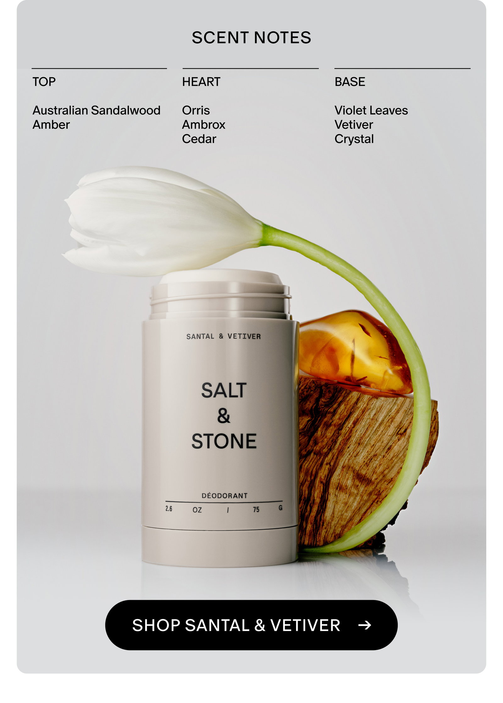 santal scent notes