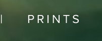 PRINTS