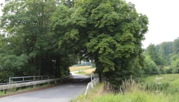 Aller Mølledam - Ved Christiansfeld, naturområde med madpakkehus