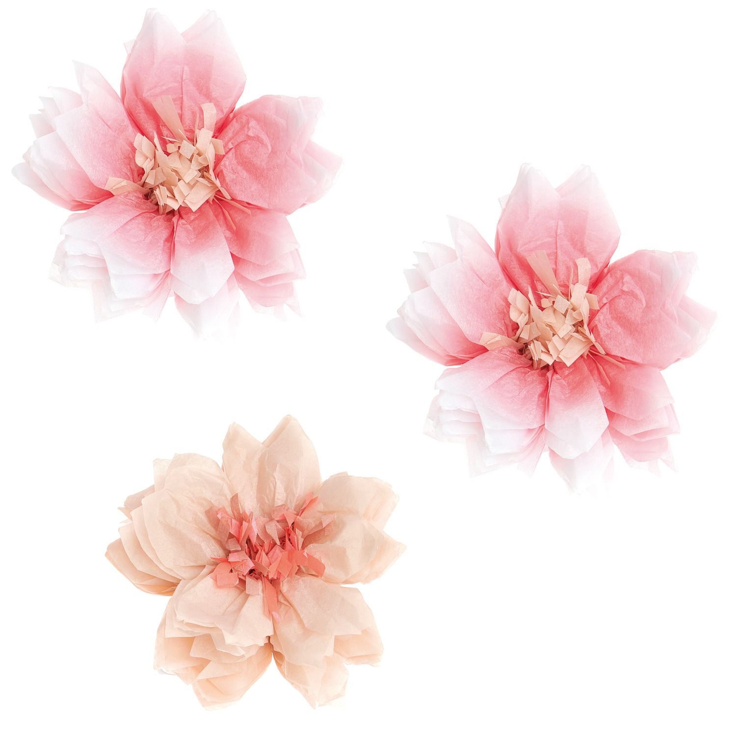 Seidenpapierblumen in rosa