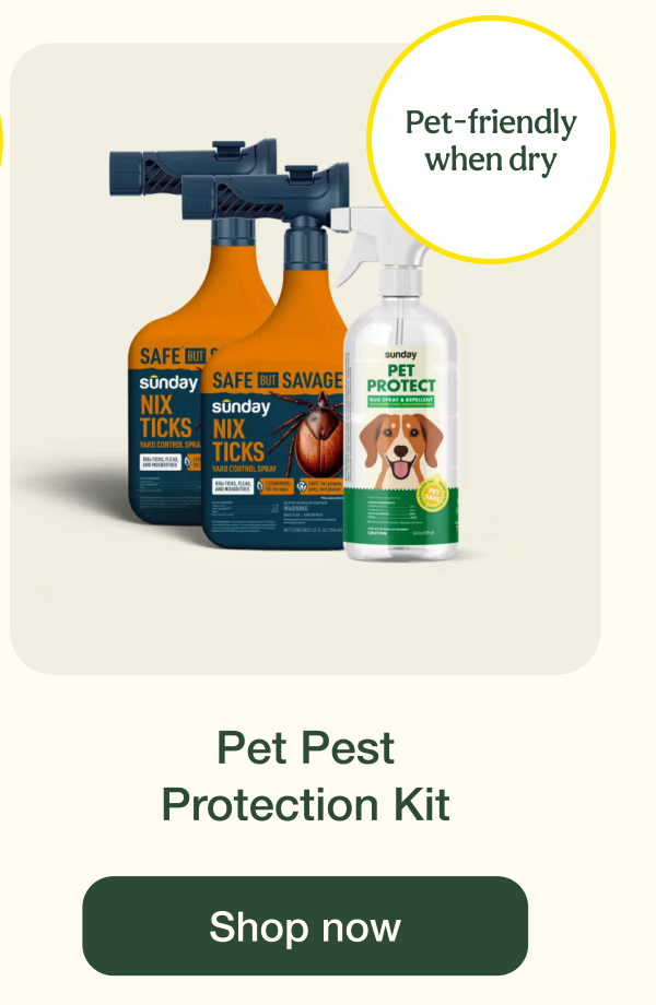 Pet Pest Protection Kit | Shop now