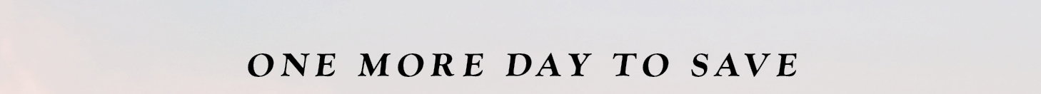 One More Day to Save
