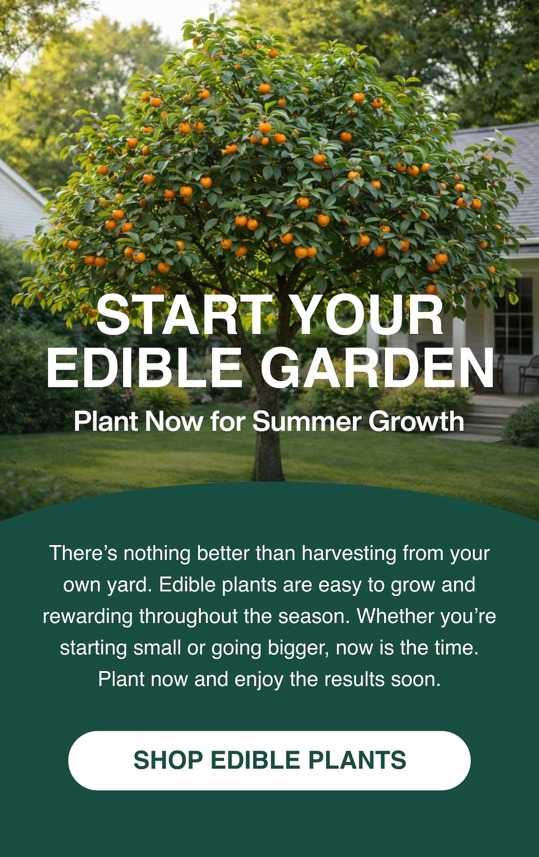 Start your edible garden