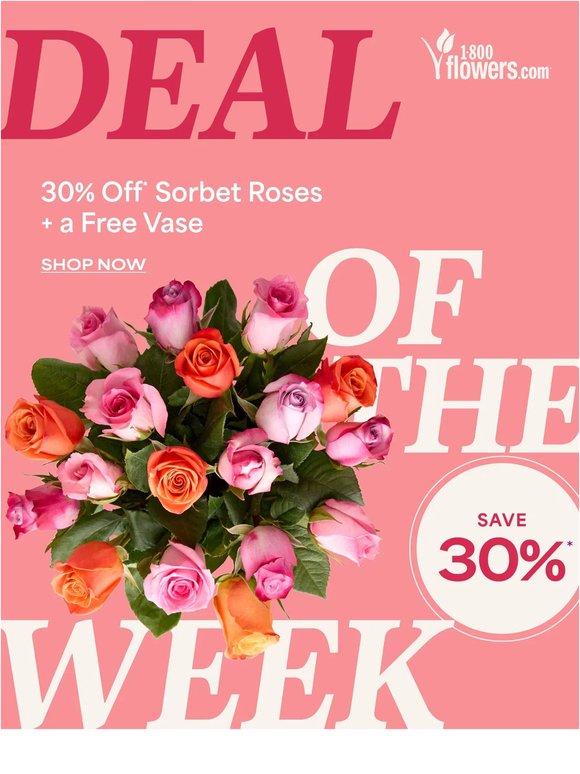Sweet, vibrant, unforgettable—30% off Sorbet Roses