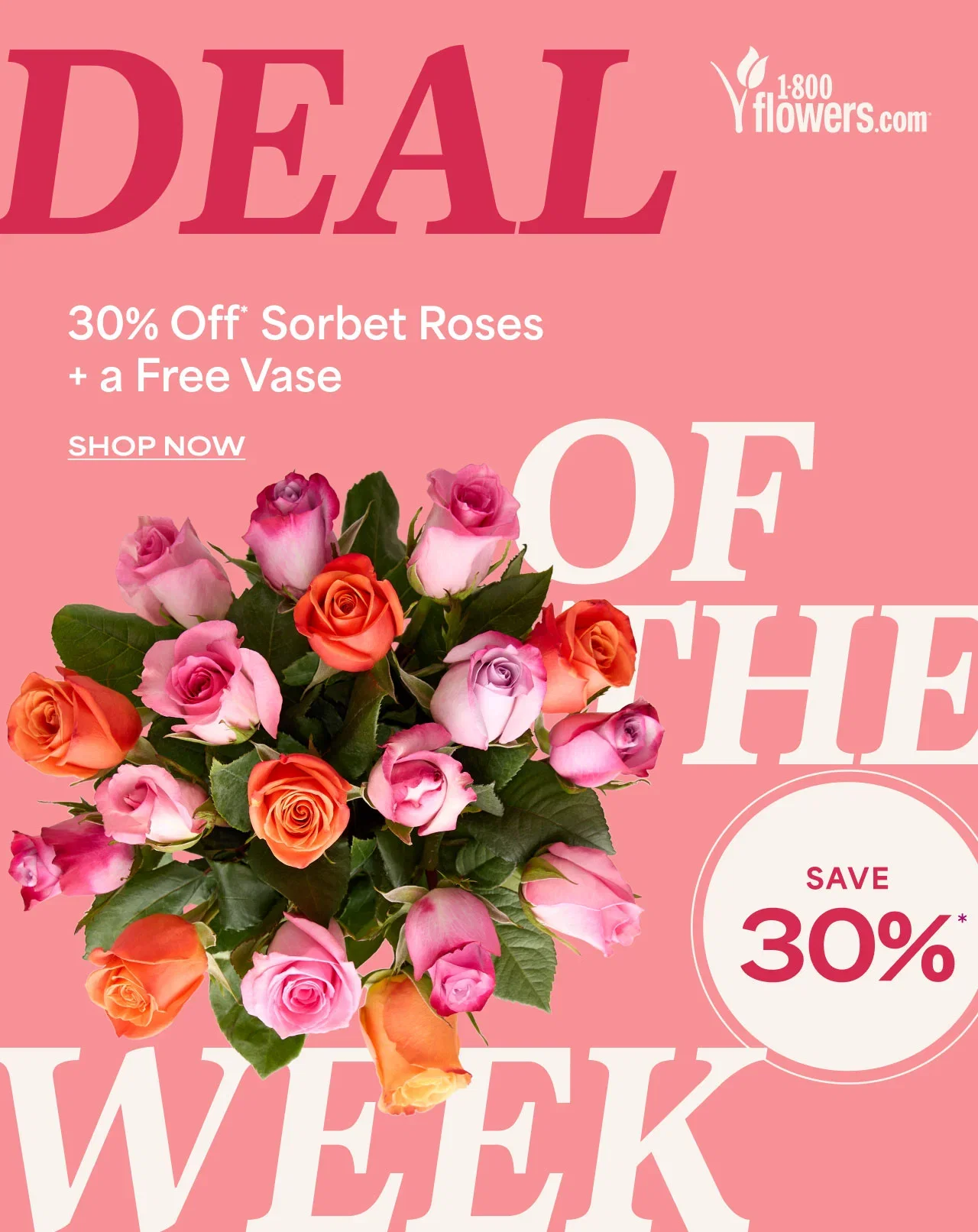 Deal of the Week | 30% Off Sorbet Roses + a Free Vase| Save 30%