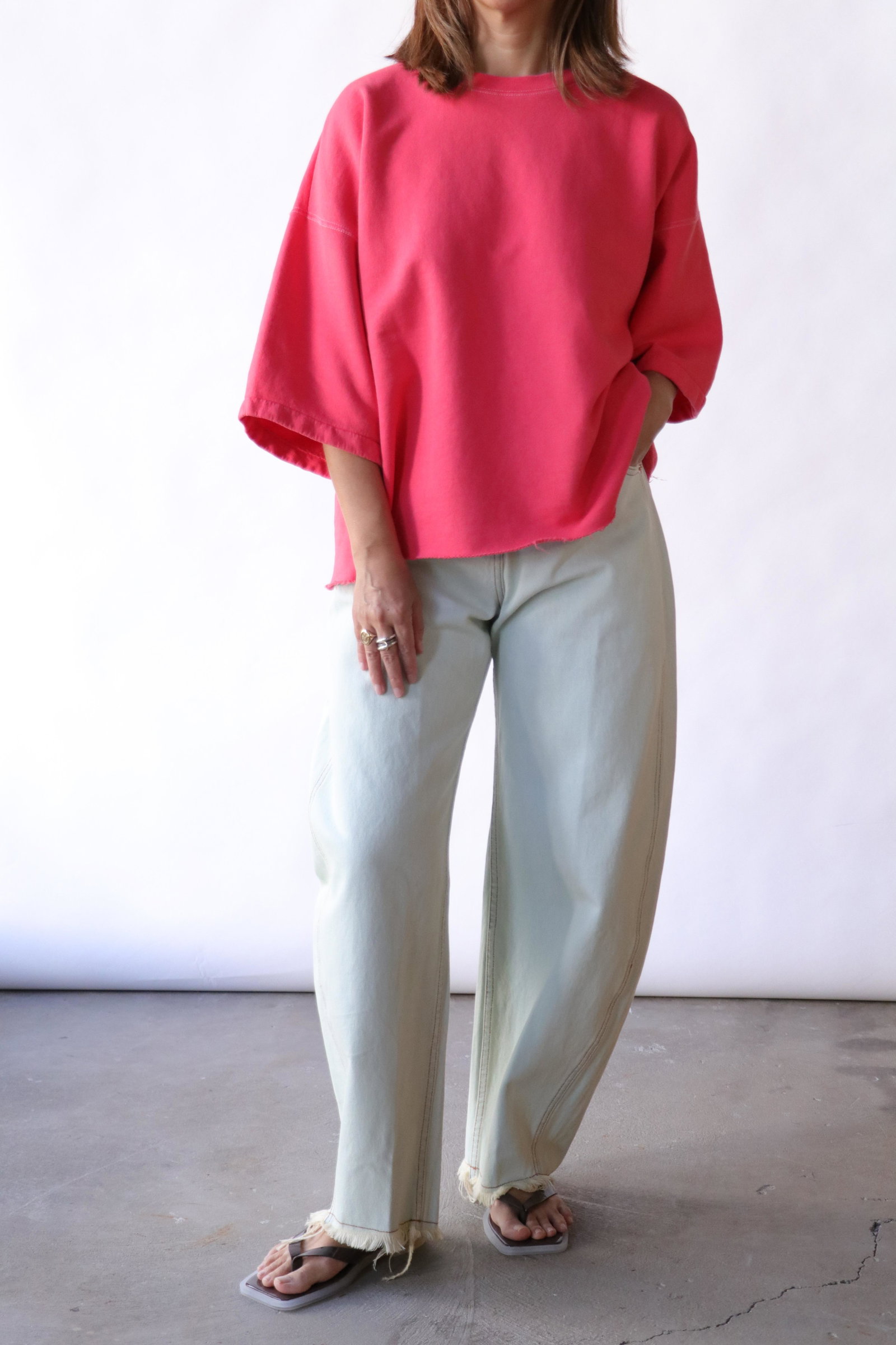 Rachel Comey Keenan Pant in Bleached + Tern Sweatshirt in Gauva