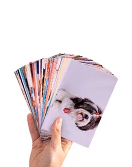 200 Fotos