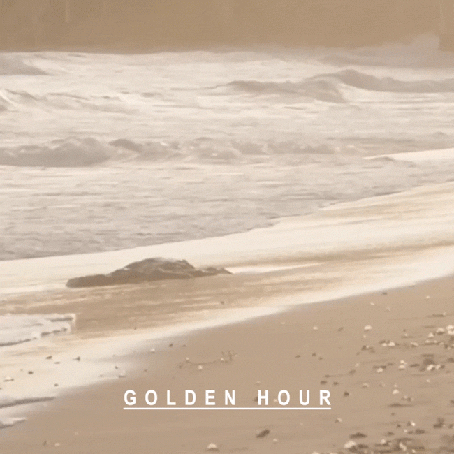 Shop the Golden Hour collection.