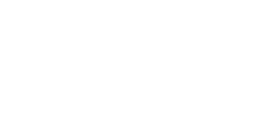 TEMU