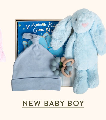 New Baby Boy Box 