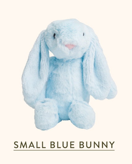 Small Blue Bunny 
