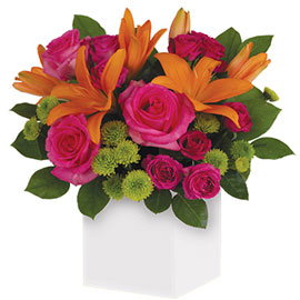 Celebration Flowers on sale now