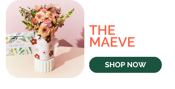 The Maeve