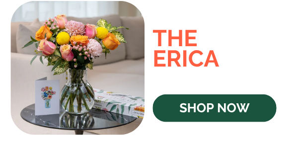 The Erica