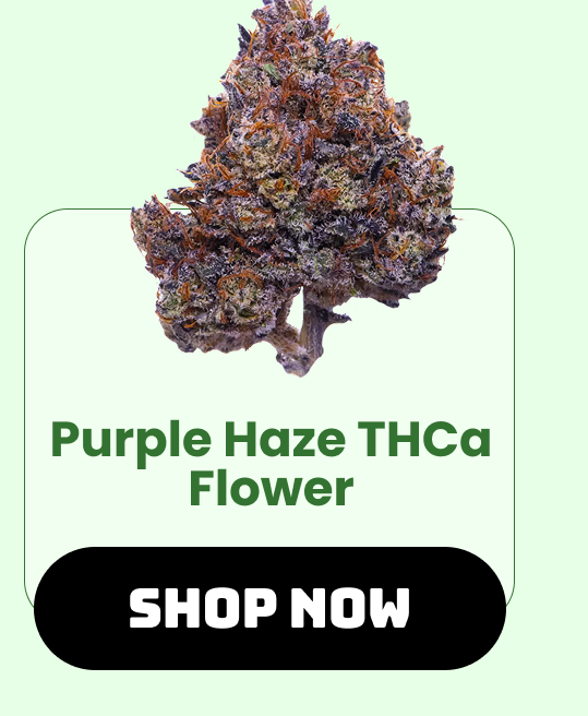 Purple Haze THCa Flower