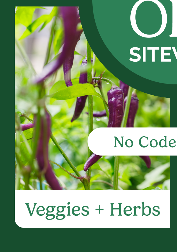 Veggies & Herbs
