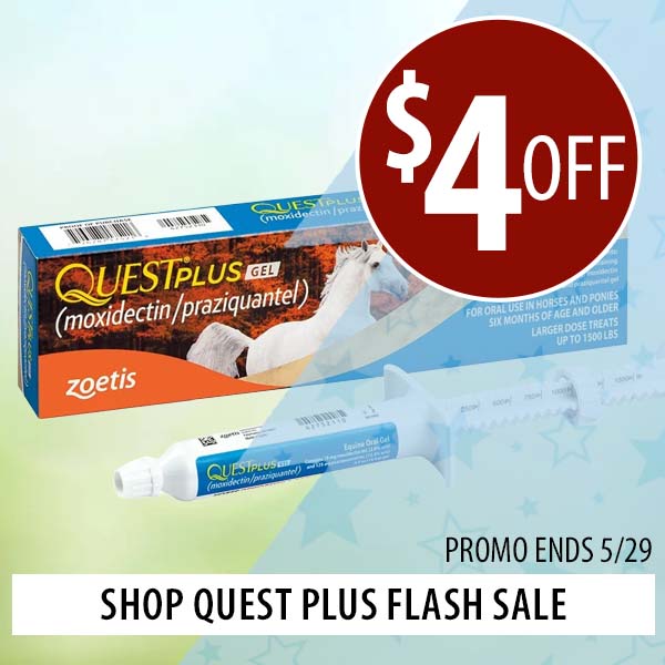 Quest Plus Flash Sale—$4 Off!