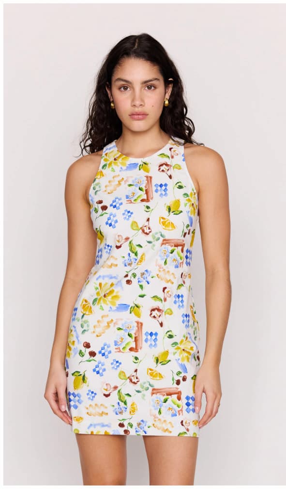 Mediterranean Print Open Back Mini Dress