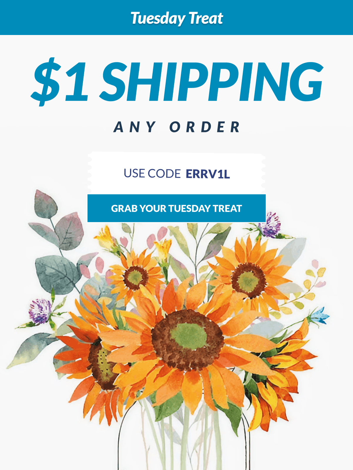 Tuesday Treat. $1 Shipping on Any Order. Use Code ERRV1L [Click here to Grab Your Tuesday Treat]