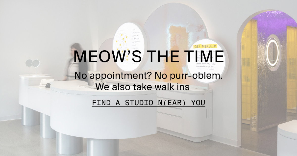 MEOW'S THE TIME - FIND A STUDIO N(EAR) YOU