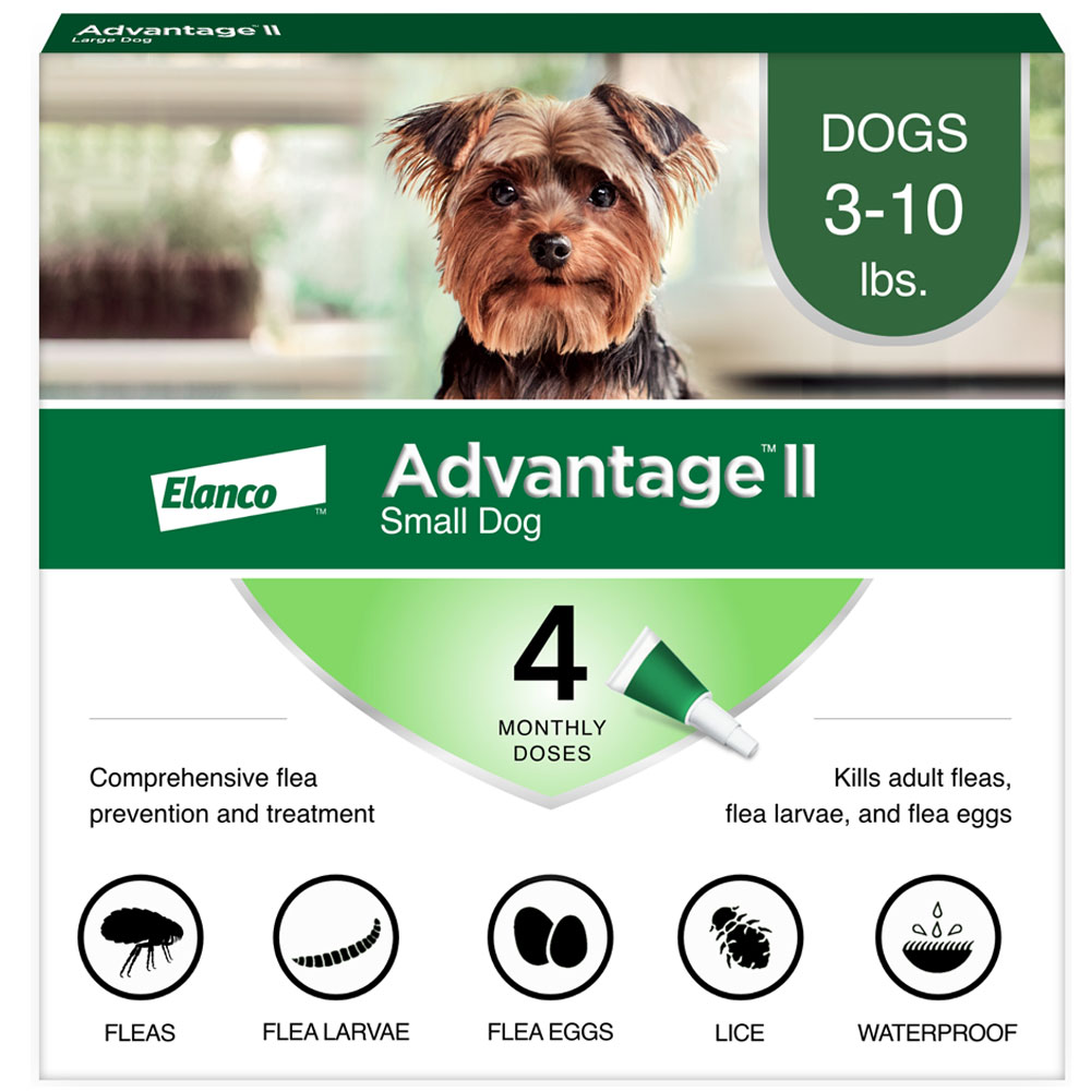 Image of Advantage II for Dogs Under 10 lbs (4 Month)