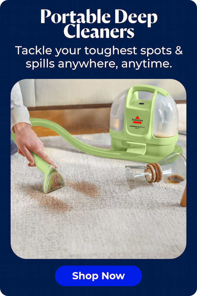 Portable Deep Cleaner