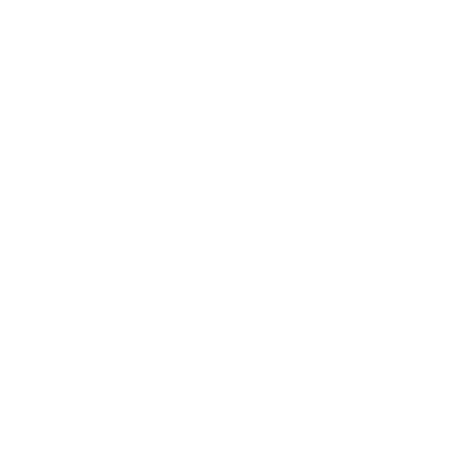 EXPRESS DELIVERY