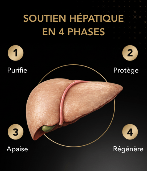 Un système en 4 phases pour un soutien complet