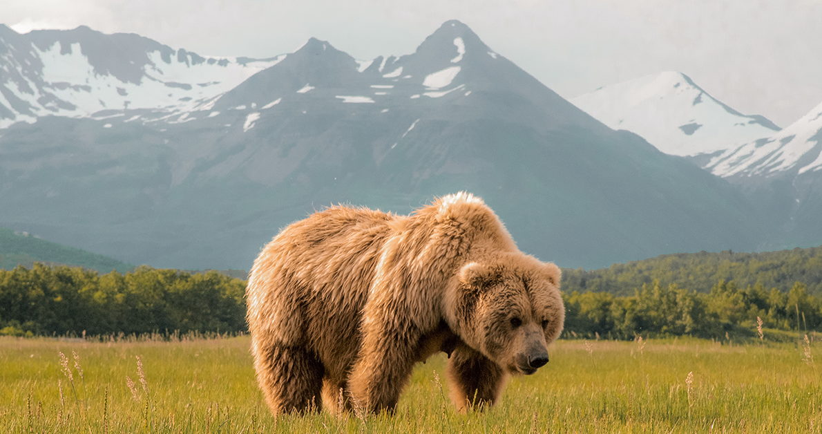 Alaska