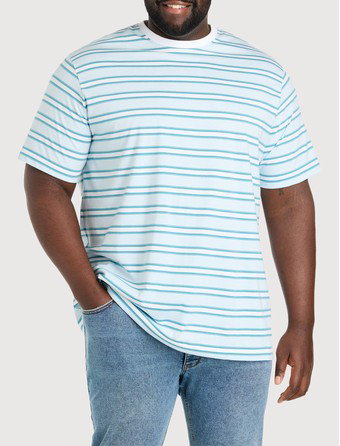 Moisture-Wicking Striped T-Shirt