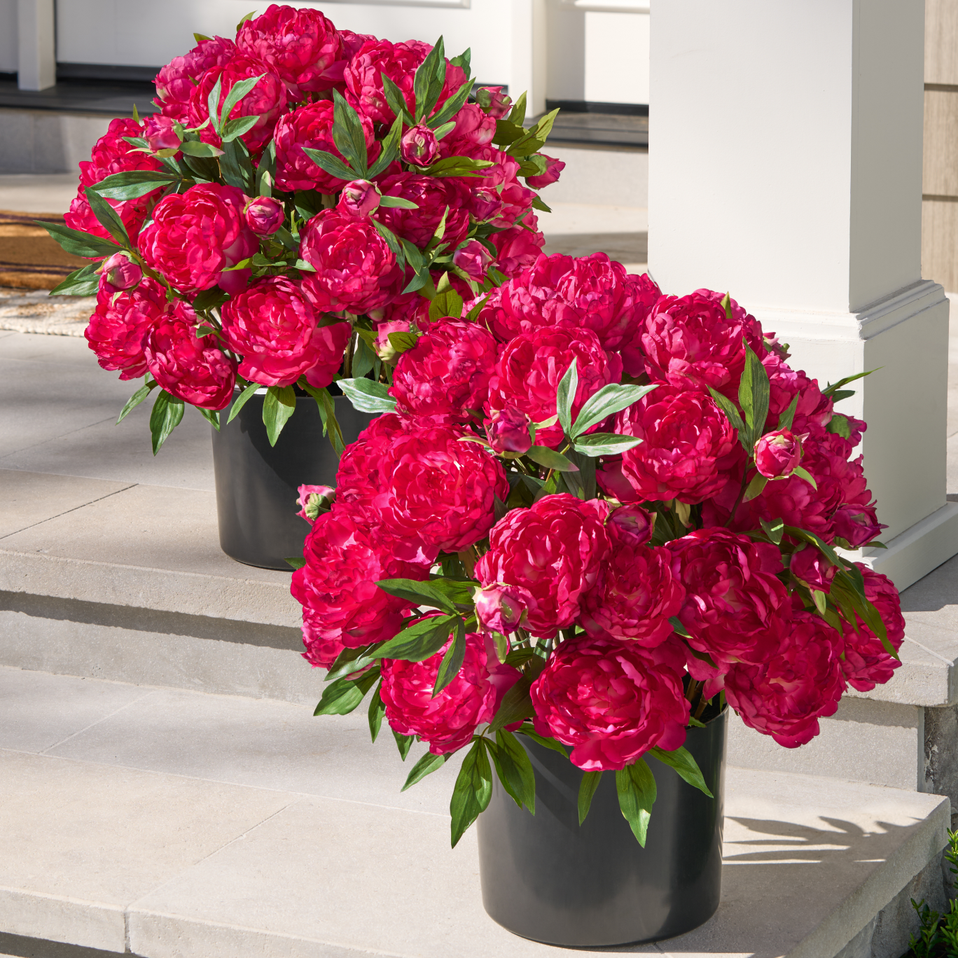 Outdoor Magenta Peony Paradise Pot Fillers