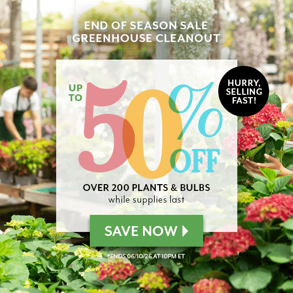 END OF SEASON SALE select plants & bulbs up to 40% OFF while supplies last!