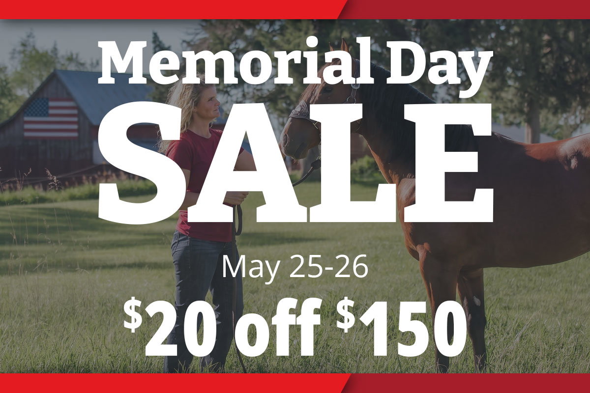 Memorial Day Sale - $20 off $150