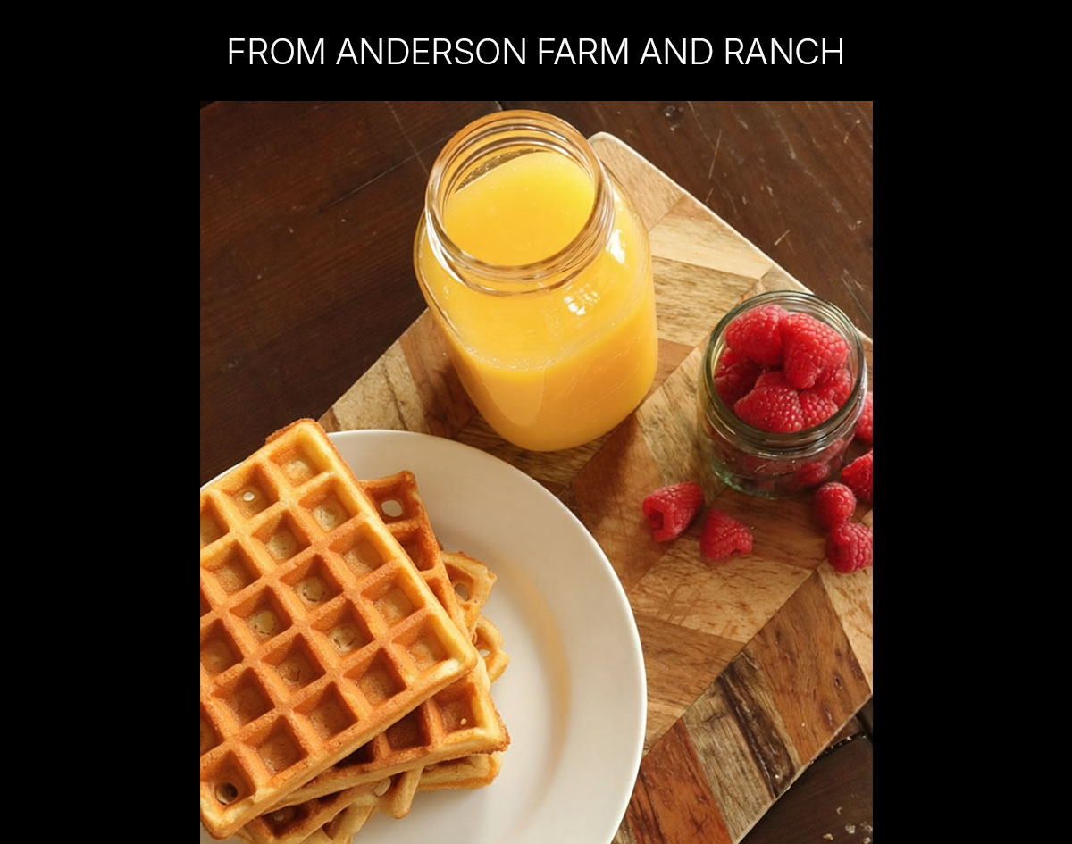 from anderson farm & ranch