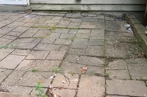 They turn 40 pavers into THIS