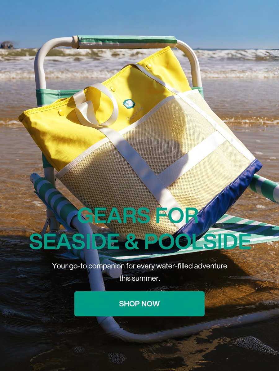 BAGSMART