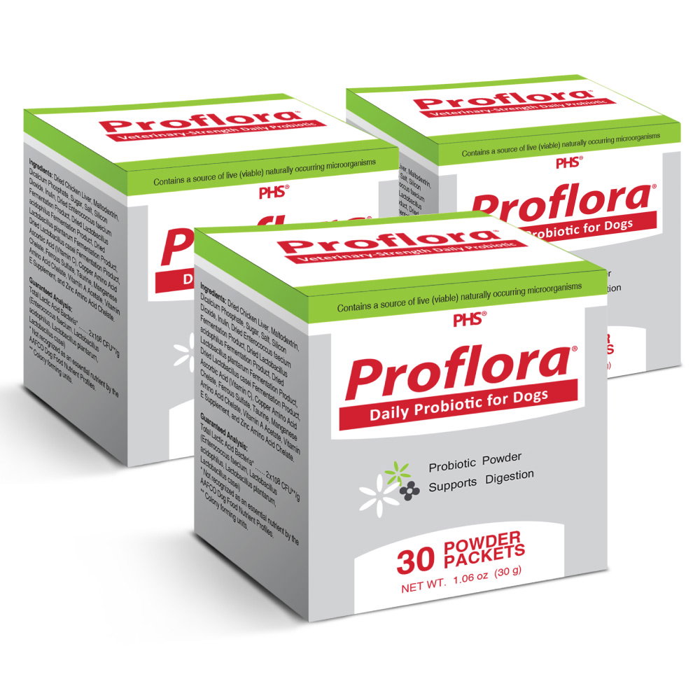 Image of 3-PACK Proflora Probiotic for Dogs (90 Servings)