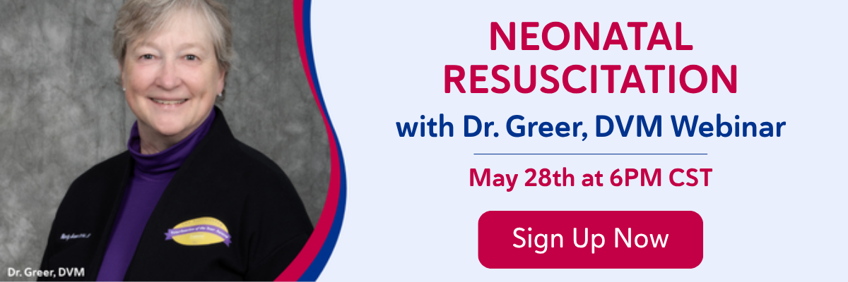Sign Up Now