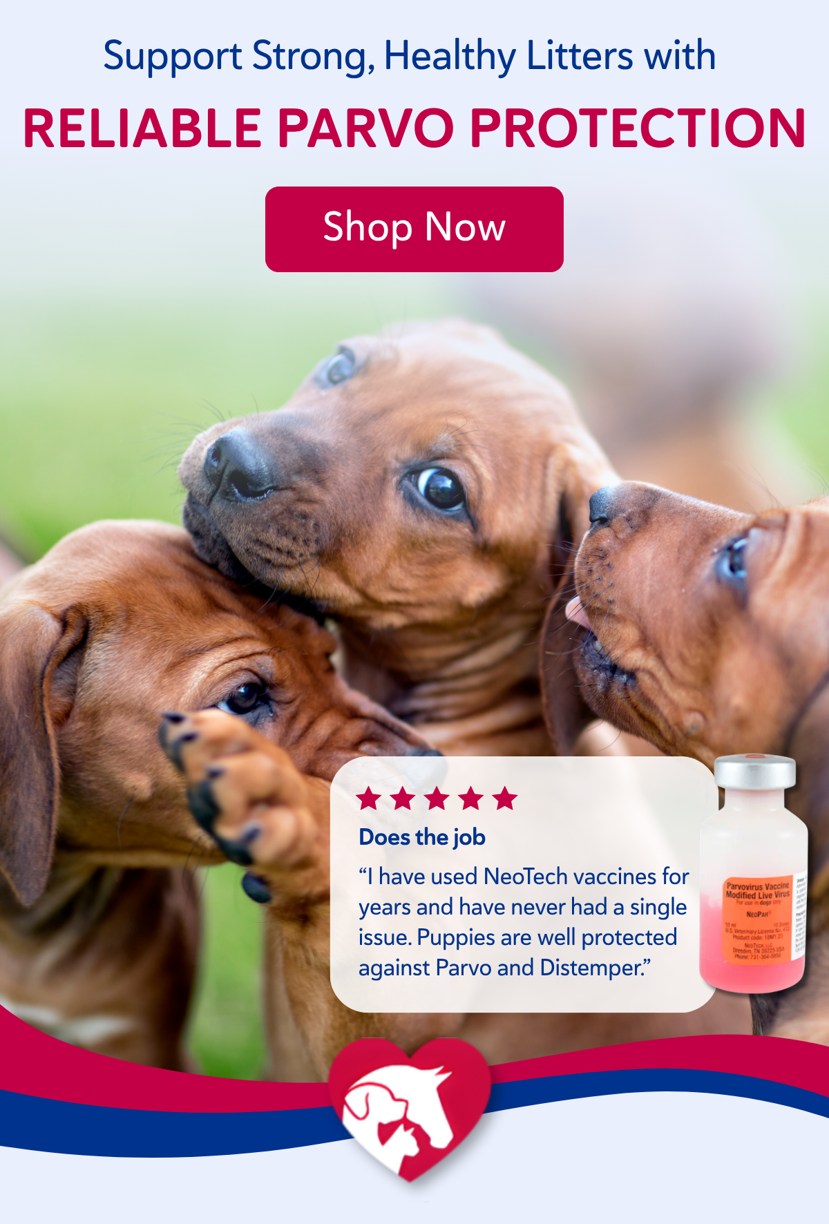 Support strong, healthy litters with reliable parvo protection