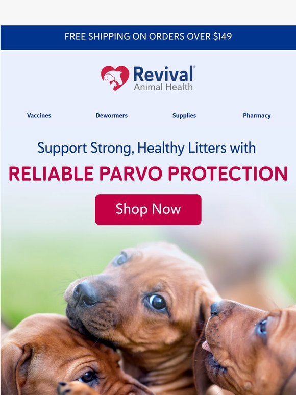 Stay Ahead of Parvo Risk
