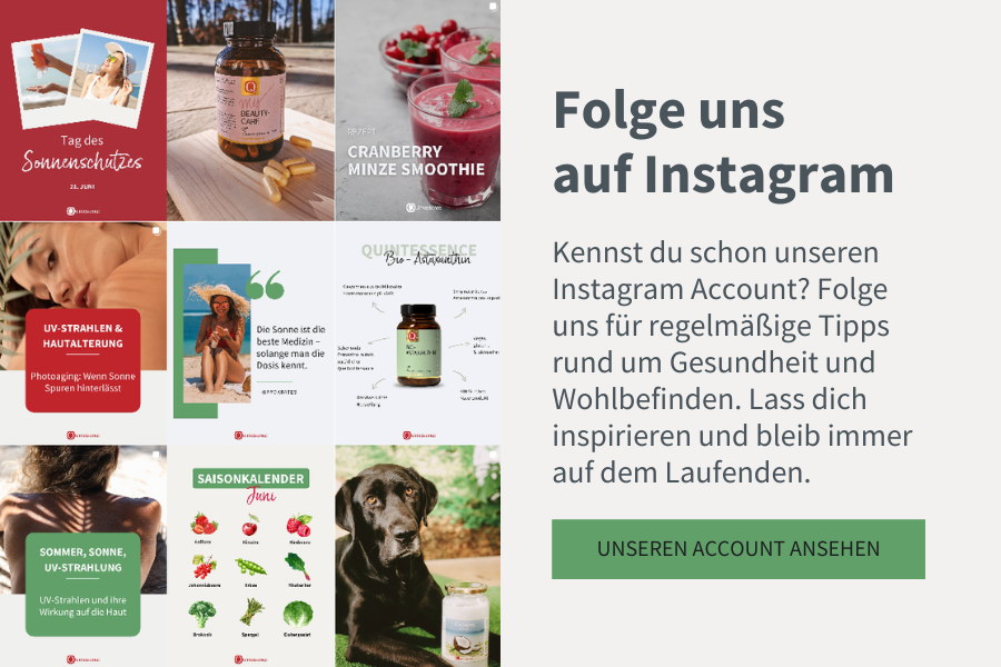 instagram feed von unserem account