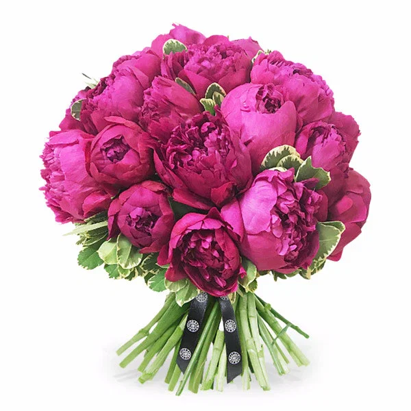 Image of Peony Perfection