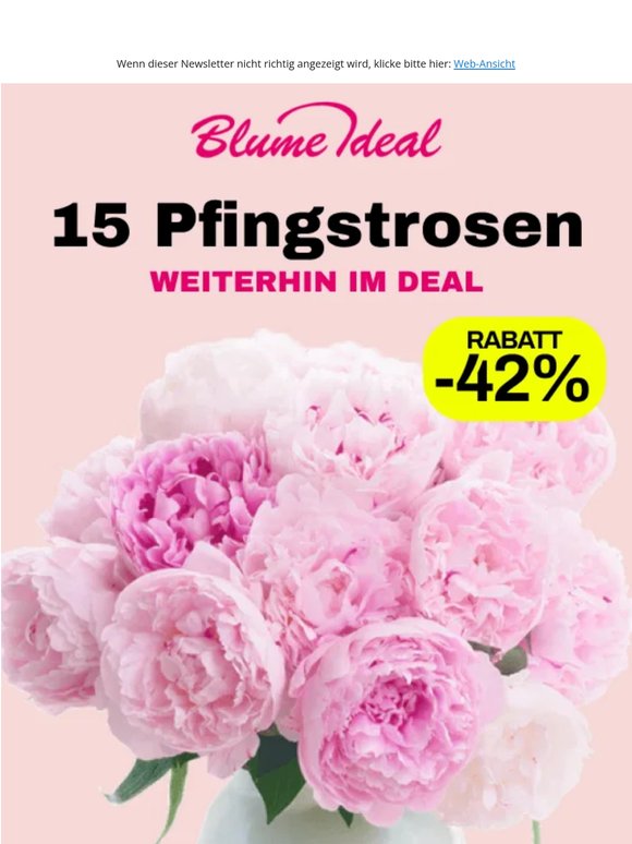 -50% 💕 Pfingstrosen im XXL Paket