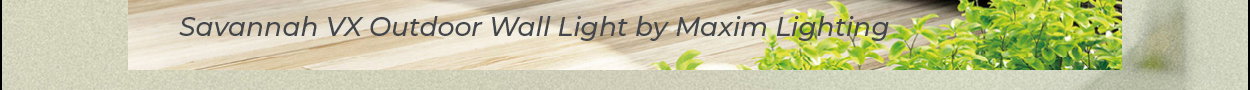 Savannah VX Outdoor Wall Light