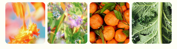 Get in touch