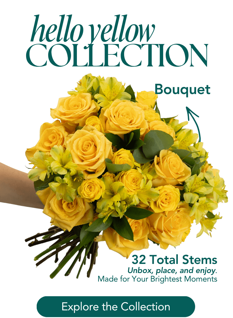 Explore Hello Yellow Collection