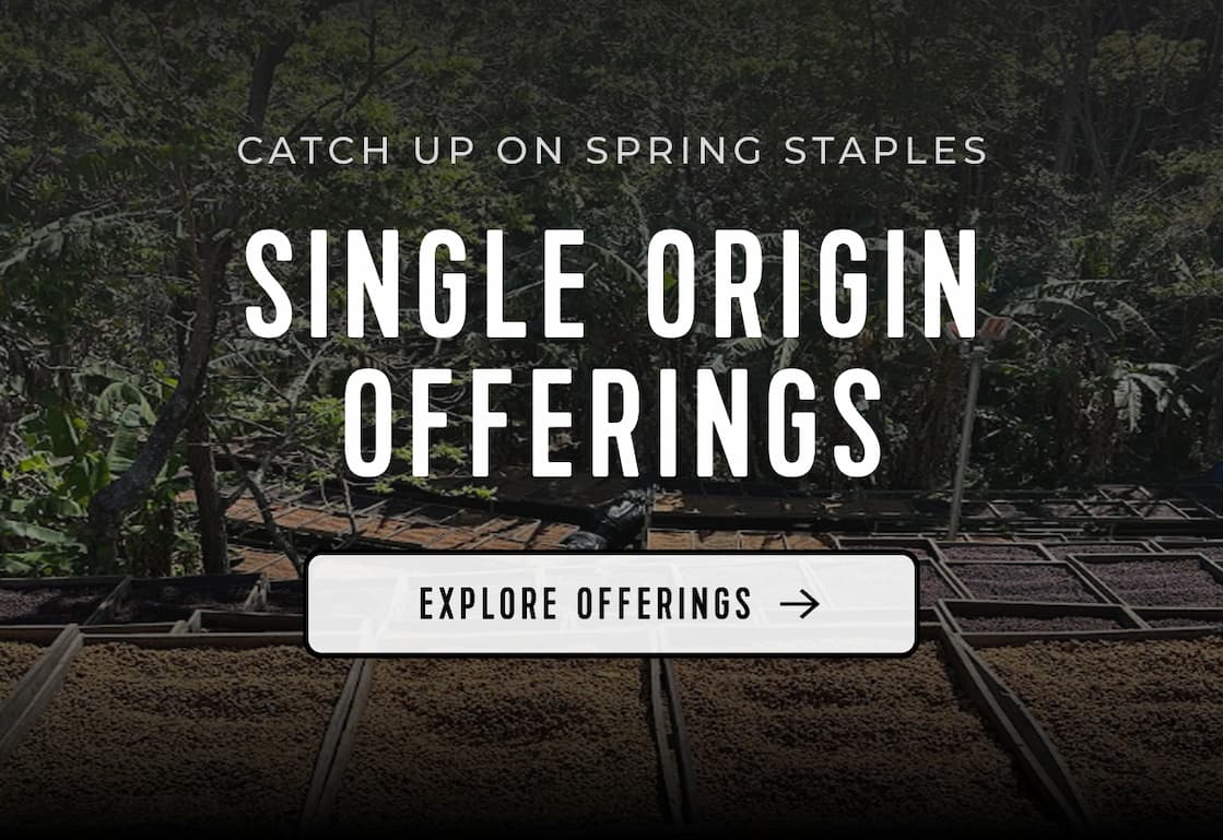 Catch Up On Spring Staples