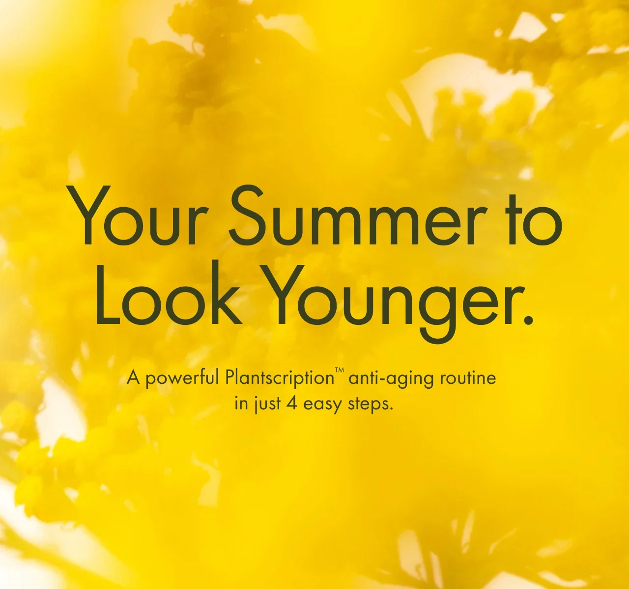 Your Summer to Look Younger. | A powerful Plantscription™ anti-aging routine in just 4 easy steps.